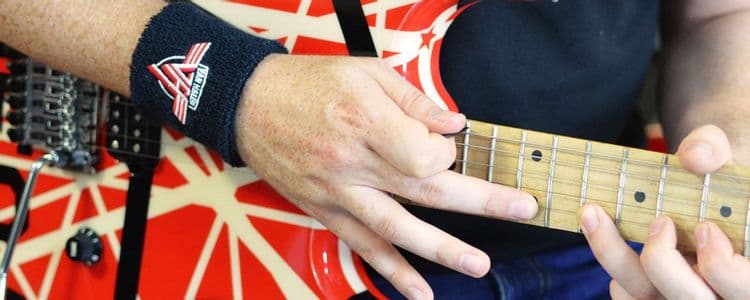 Eddie Van Halen banner
